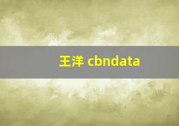 王洋 cbndata